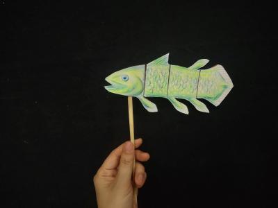 13お魚
