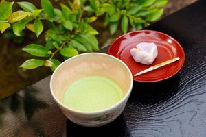 宇治抹茶